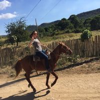 MUST BE EXACT DATE MATCH (cat to feed) // Sunny top floor Graça flat